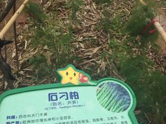 -天河儿童公园