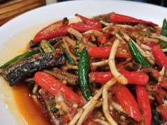 -陈麻婆豆腐总店