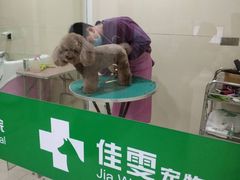 -佳雯宠物医院(四明中路分院)