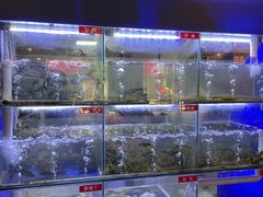 水产区-石锅苗苗鱼(武汉首店)