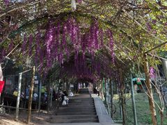 -求水山公园