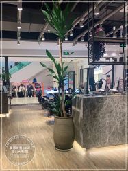 -Mentor Hair Salon