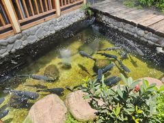 -耕渔小院·湖南鱼鲜(望城店)