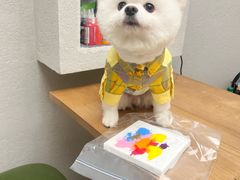 -樱桃家的宠物店(君安花园店)