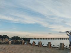 -宝安西湾红树林湿地公园