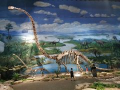 -自贡恐龙博物馆