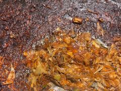 -鱼窝棚柴火铁锅炖(富山屯店)