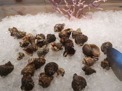 -龙之梦万丽酒店青餐厅