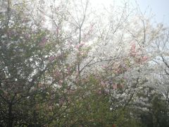 -杭州半山国家森林公园