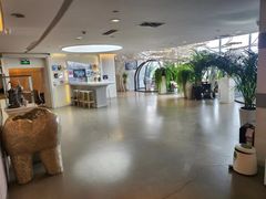 -哈尔滨圣安口腔专科医院