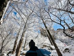 -崂山巨峰游览区