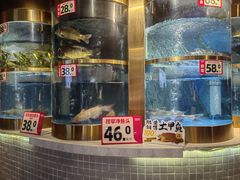 -蜀滋香鲜鱼美蛙火锅(339店)