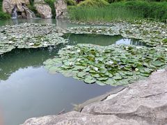 -黄河小浪底水利枢纽风景区