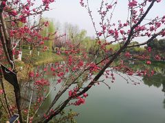 -圩墩遗址公园
