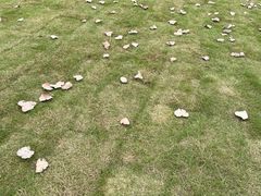 -渤公岛生态公园