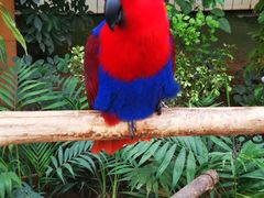 -南宫五洲植物乐园