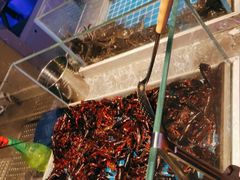 -一方渔歌蒸汽海鲜自助(文化路万达广场店)