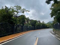 -深圳东部华侨城茵特拉根酒店