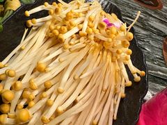 -慢丽江·云南野生菌土鸡锅(付家庄店)