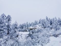 -瓦屋山景区