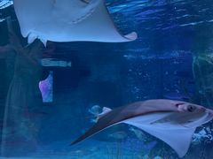 -沈阳海洋探索中心