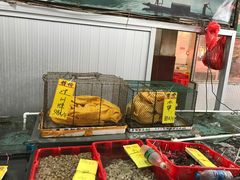 -鸿达渔港