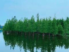 -白鹭湾湿地公园
