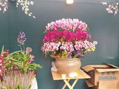 -重庆市江北嘴中央商务区中央公园