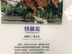 -重庆自然博物馆(新馆)