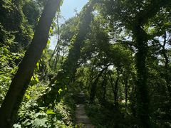 -南京市江宁方山