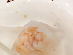 虾饺皇-阳春市花园酒店