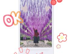 -观澜湖生态运动公社