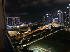 -新加坡瑞士史丹福酒店