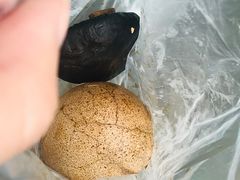 -金盆阿嬷香菇茶叶蛋(玄光店)