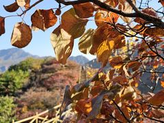 -水峪民俗村