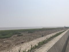-南汇嘴观海公园