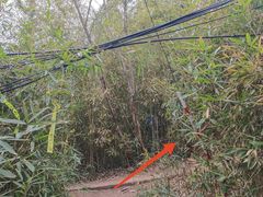 -东钱湖旅游度假区