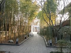 -西湖风景区-江洋畈生态公园