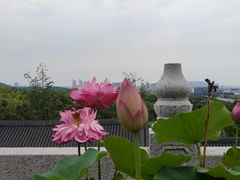 -牛首山文化旅游区