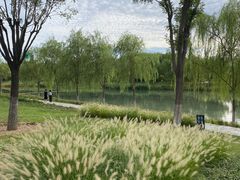 -将府公园