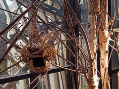 -新华里咖啡书吧(新华书店小寨店)