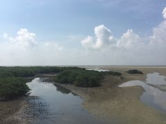 -北海金海湾红树林生态旅游区