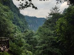 -碧峰峡风景区