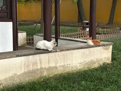 -西园戒幢律寺