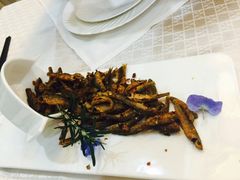 -美泉宫饭店