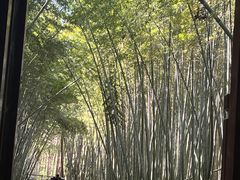 -同里国家湿地公园