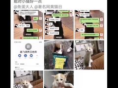 -秦汉胡同国学书院(川沙分馆)