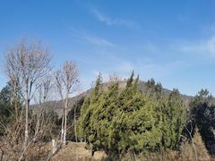 -佛慧山