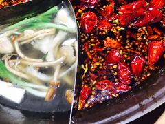菌汤-白乐天毛肚火锅馆(南滨路店)