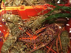 -79号渔船海鲜饭店(华强北店)